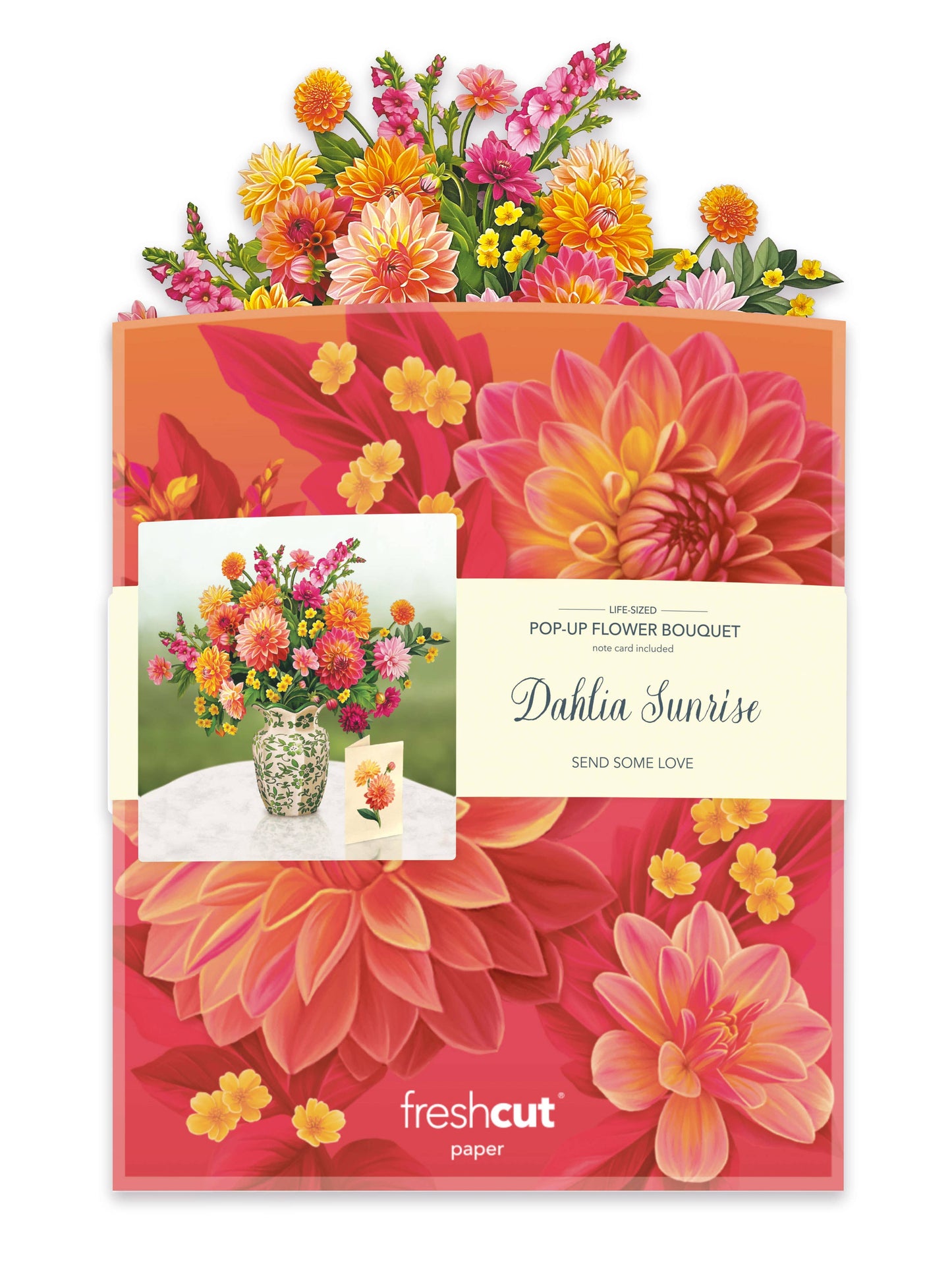 Dahlia Sunrise Pop-up Greeting Card