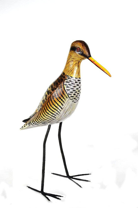 Sandpiper BIRD