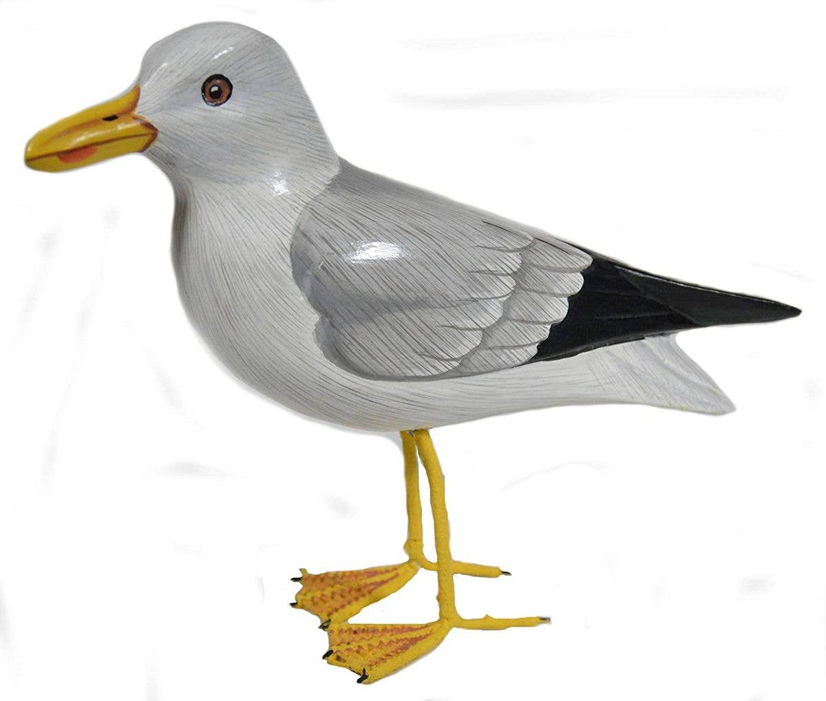 Seagull BIRD