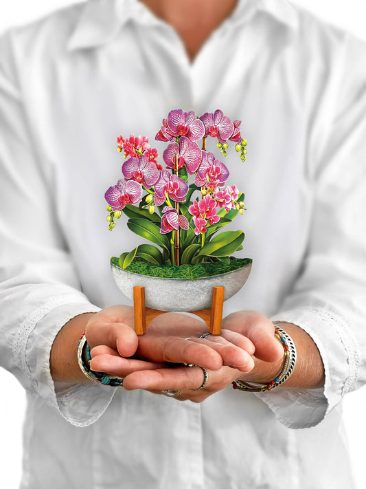 Mini Orchid Oasis (10 Pop-up Greeting Cards)