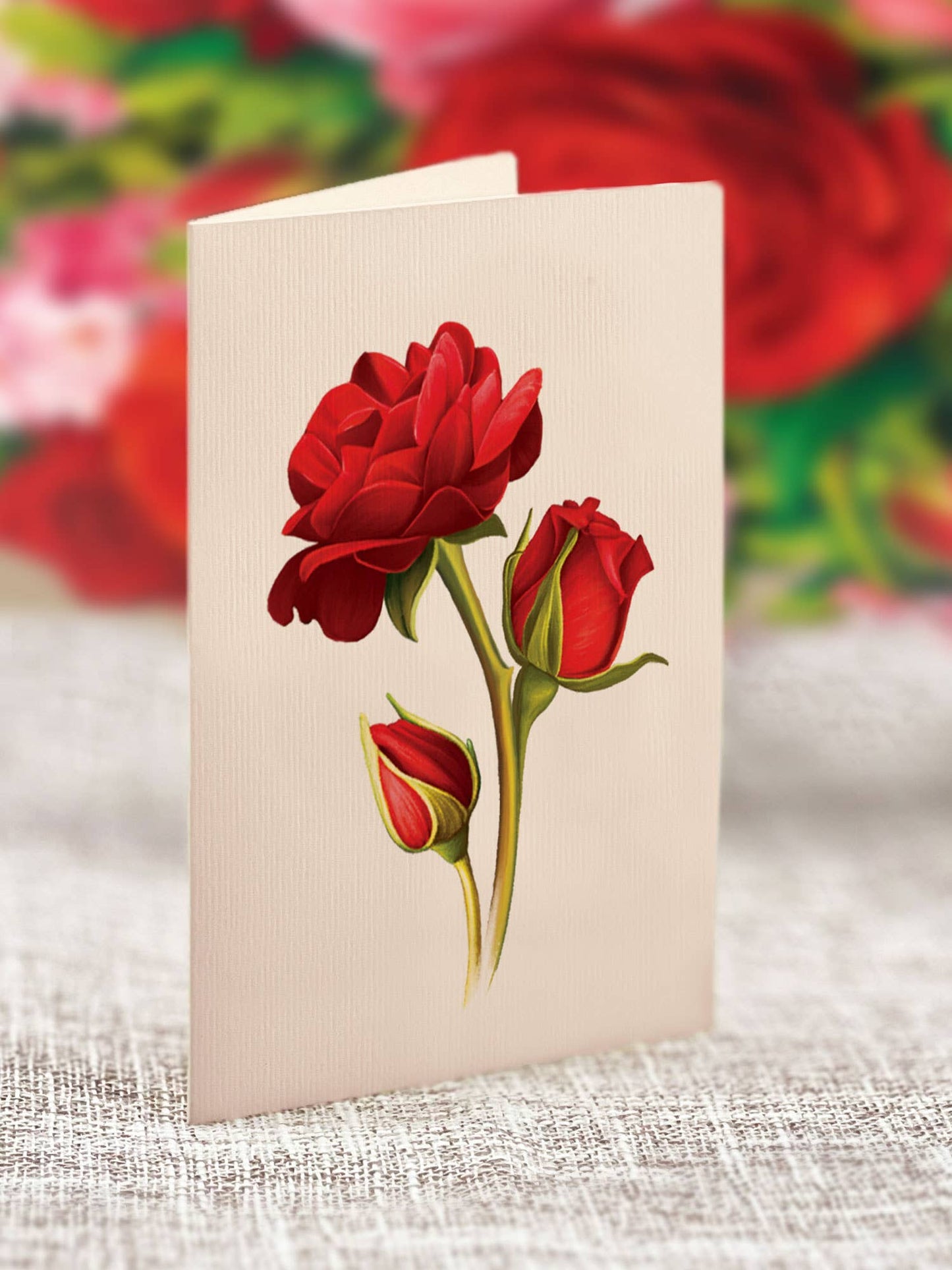 Mini Blooming Roses (10 Pop-up Greeting Cards)