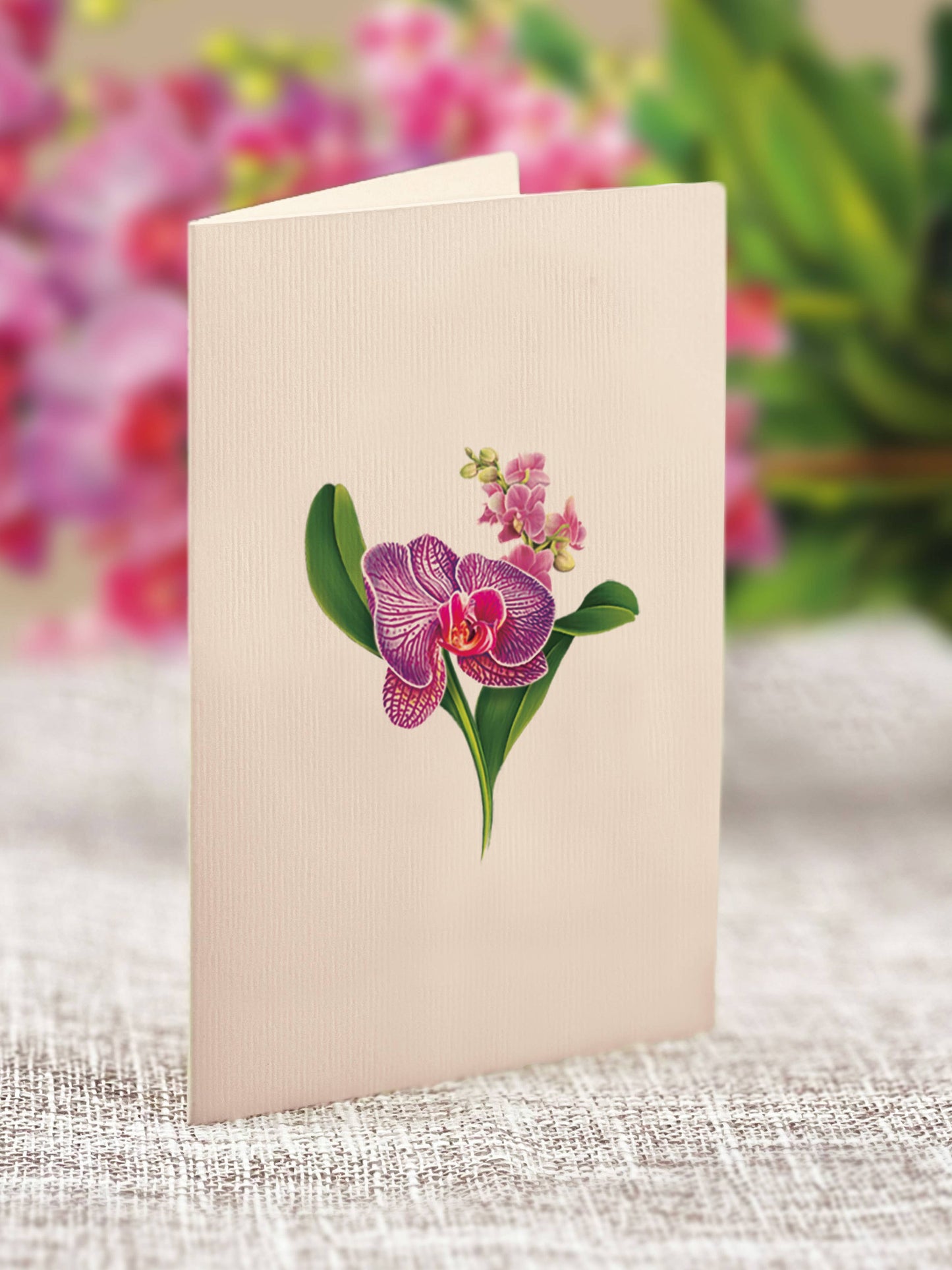 Mini Orchid Oasis (10 Pop-up Greeting Cards)