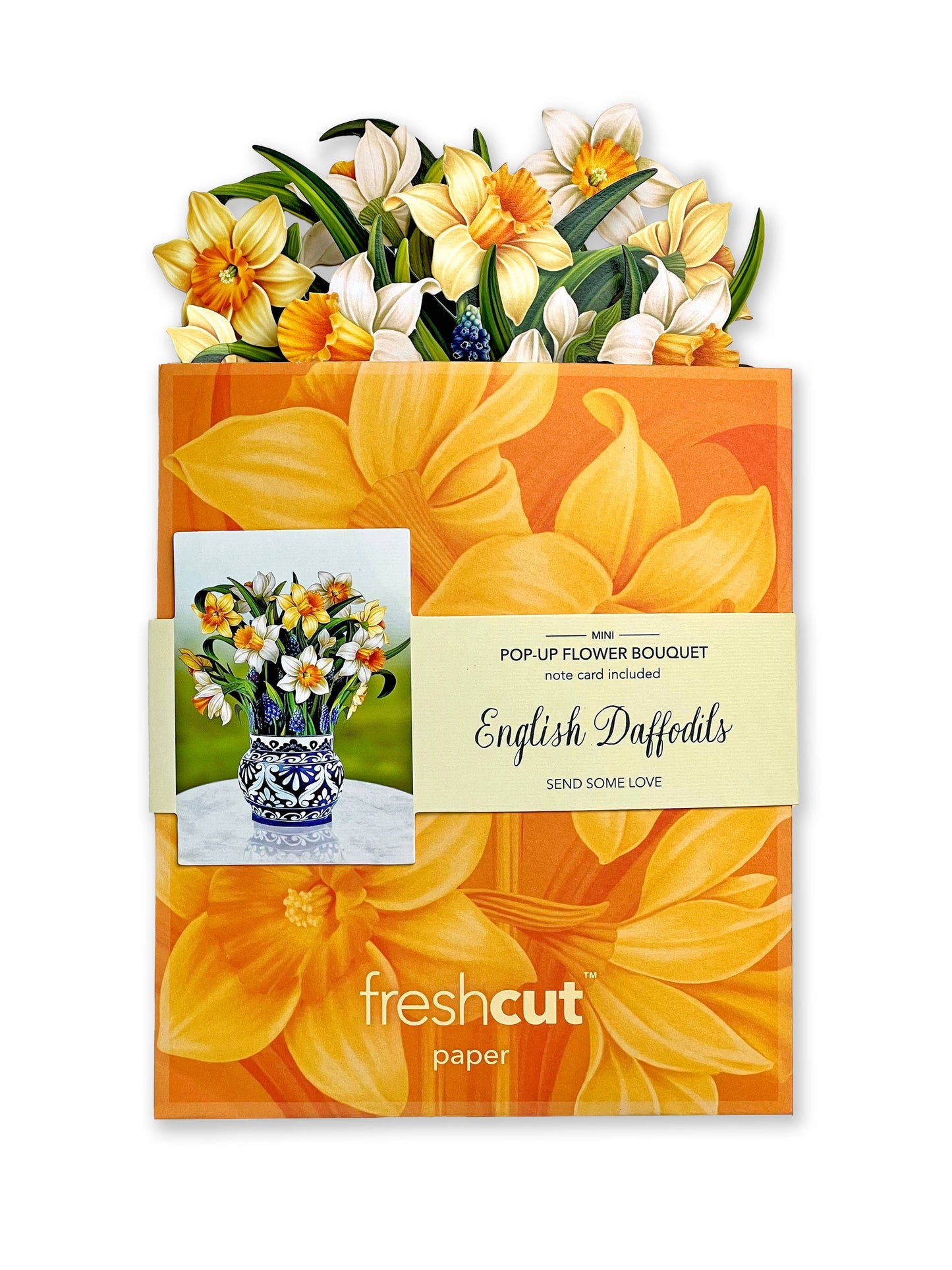 Mini English Daffodils Pop-up Greeting Cards