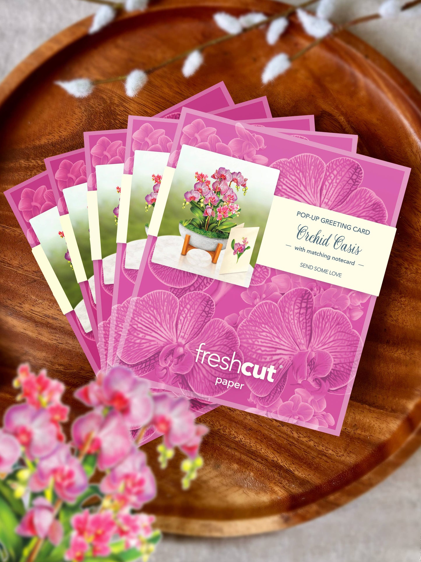 Mini Orchid Oasis (10 Pop-up Greeting Cards)