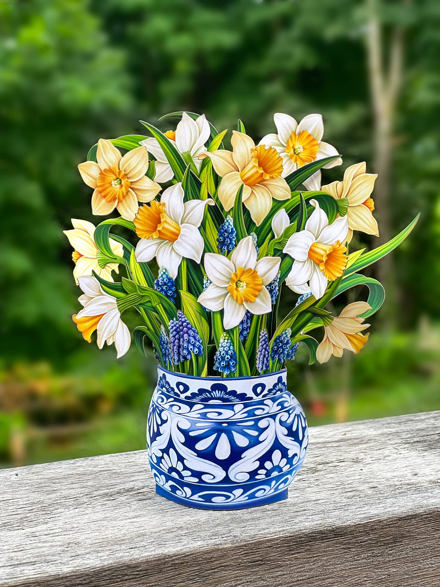 Mini English Daffodils Pop-up Greeting Cards