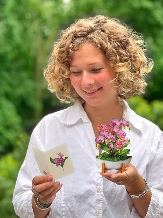 Mini Orchid Oasis (10 Pop-up Greeting Cards)