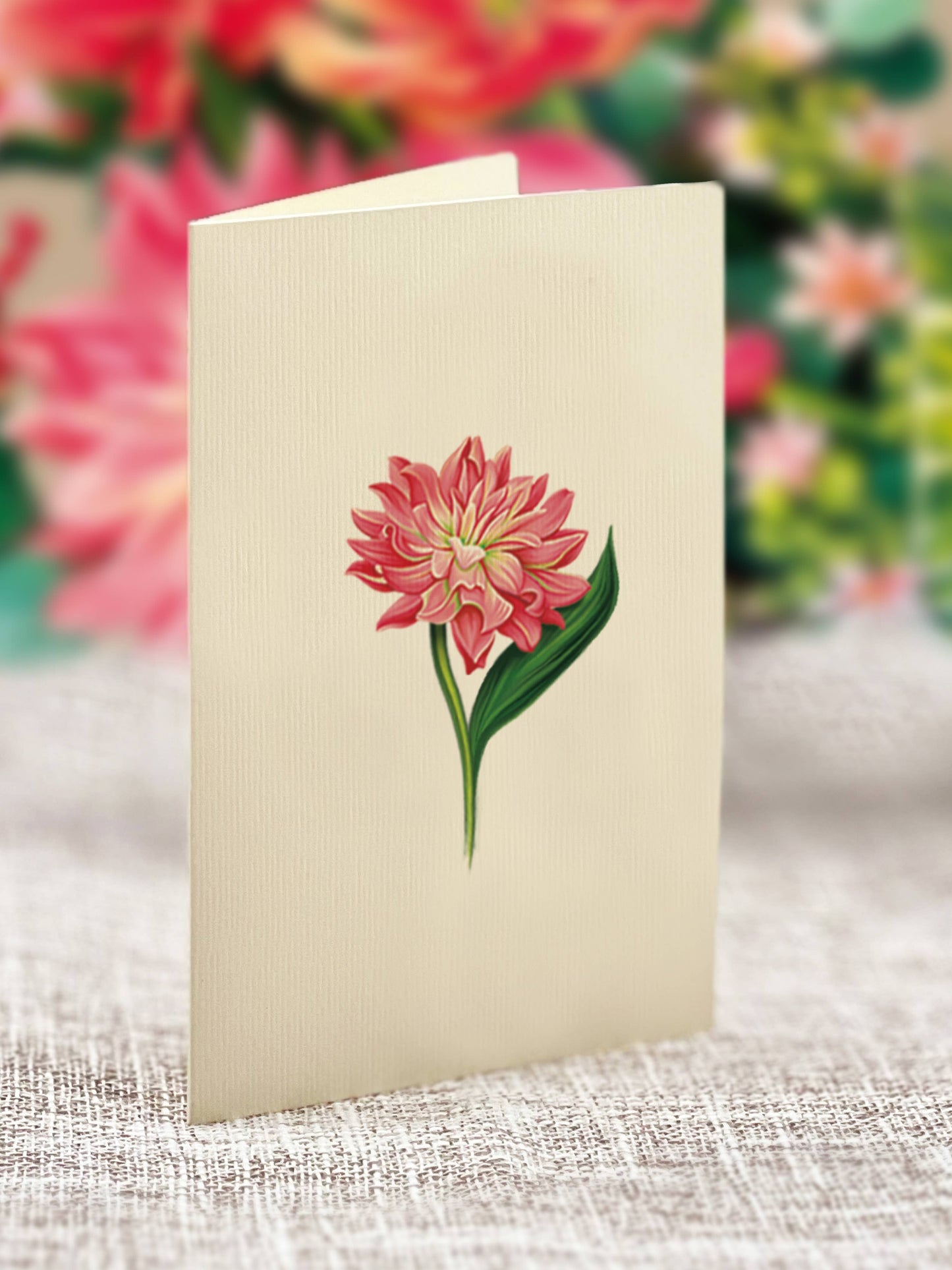 Mini Dear Dahlia (10 Pop-up Greeting Cards)