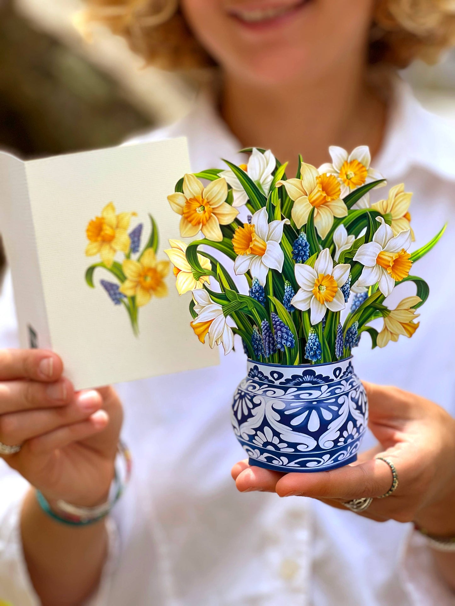 Mini English Daffodils Pop-up Greeting Cards