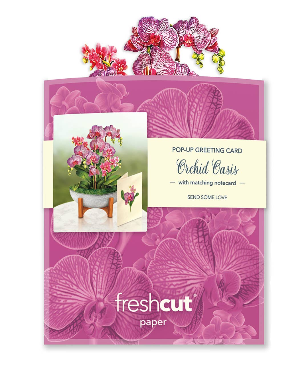 Mini Orchid Oasis (10 Pop-up Greeting Cards)