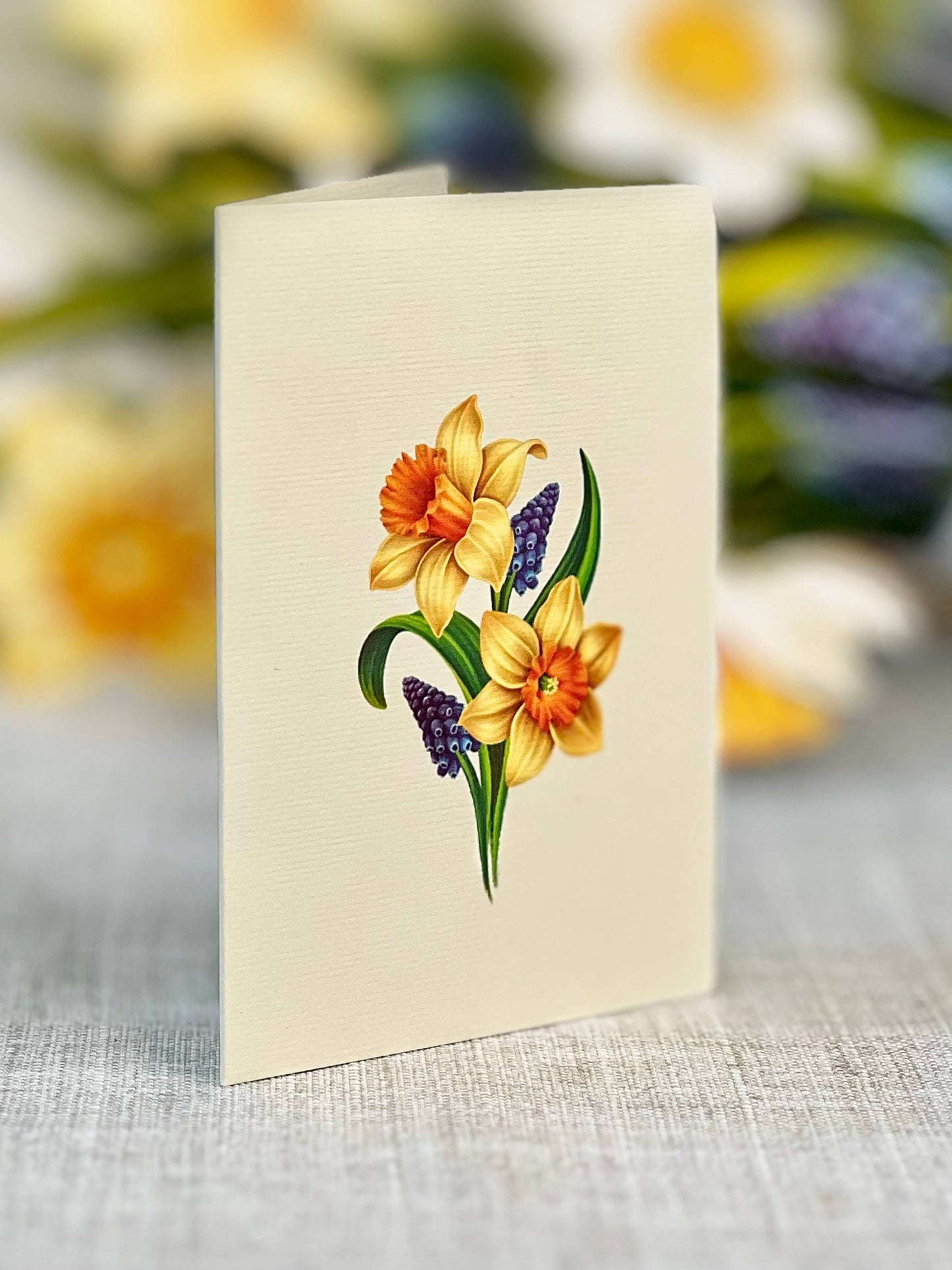 Mini English Daffodils Pop-up Greeting Cards