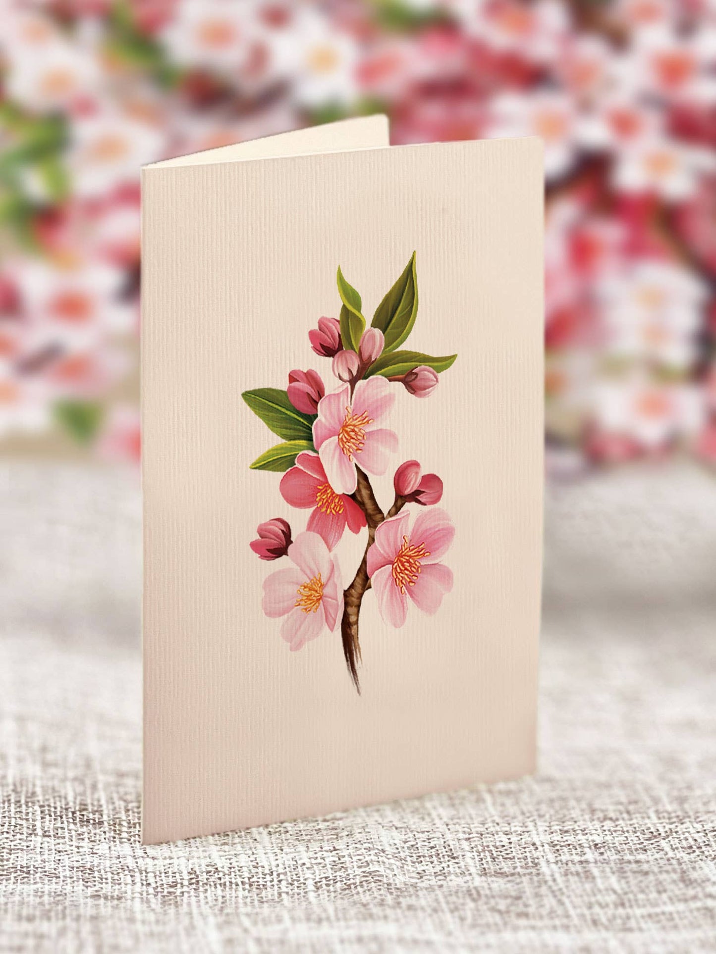Mini Japanese Cherry Blossom (10 Mini Pop-up Greeting Cards)
