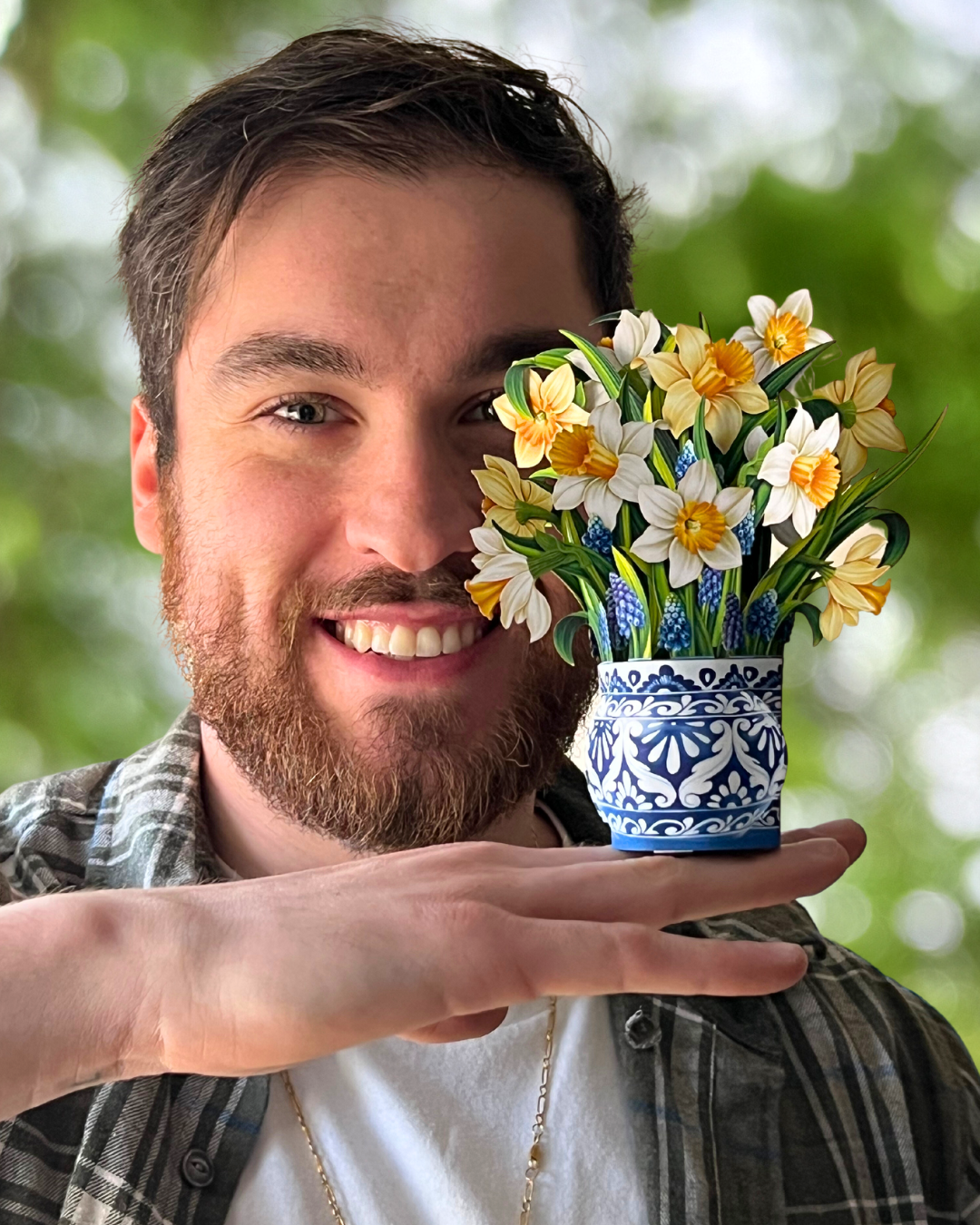Mini English Daffodils Pop-up Greeting Cards